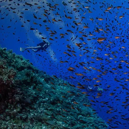 Sartoria Cavour - Modern Sicilian Elegance In A Former Tailor Shop * Παλέρμο